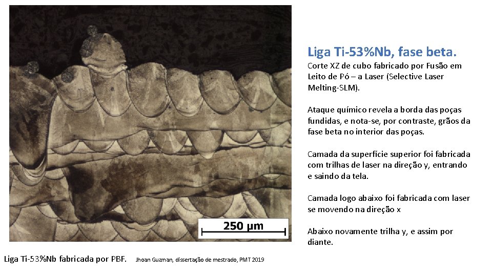 Liga Ti-53%Nb, fase beta. Corte XZ de cubo fabricado por Fusão em Leito de