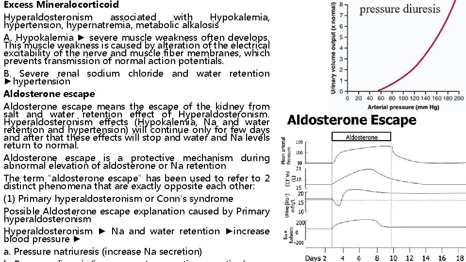 Excess Mineralocorticoid Hyperaldosteronism associated with Hypokalemia, hypertension, hypernatremia, metabolic alkalosis A. Hypokalemia ► severe