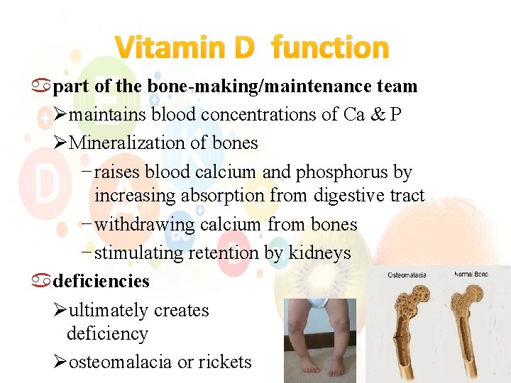 Vitamin D function part of the bone-making/maintenance team Ømaintains blood concentrations of Ca &