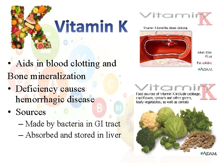  • Aids in blood clotting and Bone mineralization • Deficiency causes hemorrhagic disease