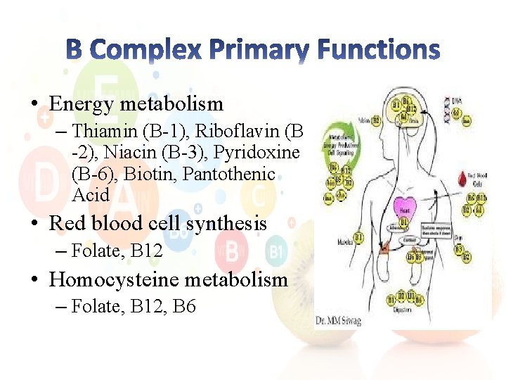  • Energy metabolism – Thiamin (B-1), Riboflavin (B -2), Niacin (B-3), Pyridoxine (B-6),