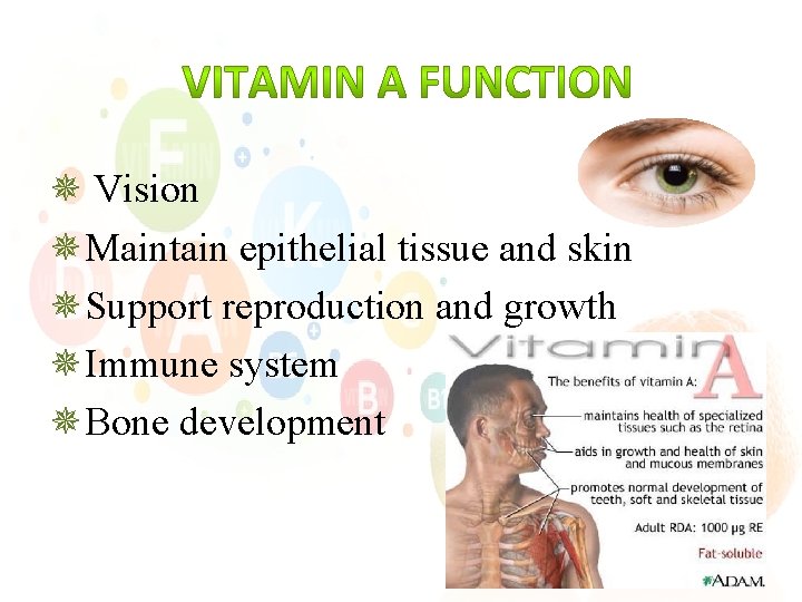 ¯ Vision ¯Maintain epithelial tissue and skin ¯Support reproduction and growth ¯Immune system ¯Bone