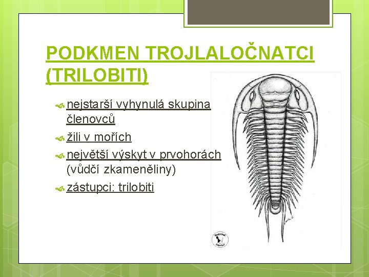 PODKMEN TROJLALOČNATCI (TRILOBITI) nejstarší vyhynulá skupina členovců žili v mořích největší výskyt v prvohorách