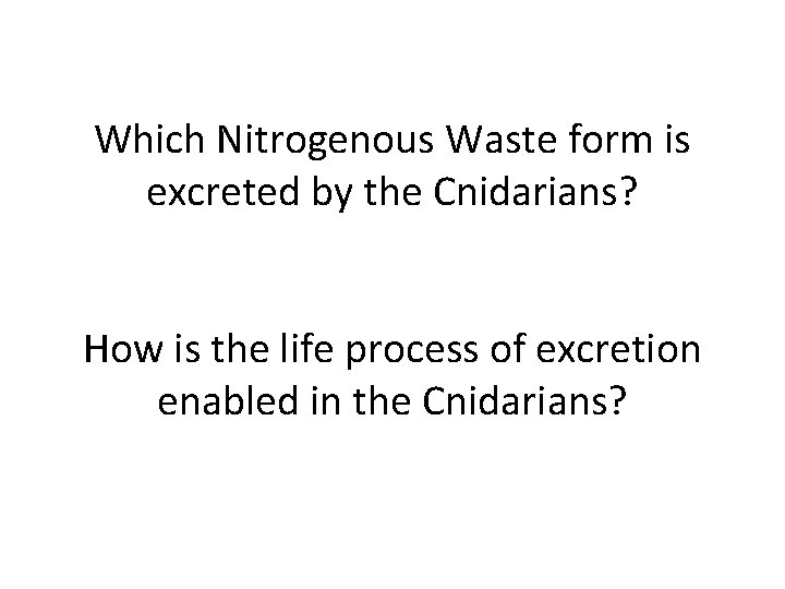 Which Nitrogenous Waste form is excreted by the Cnidarians? How is the life process