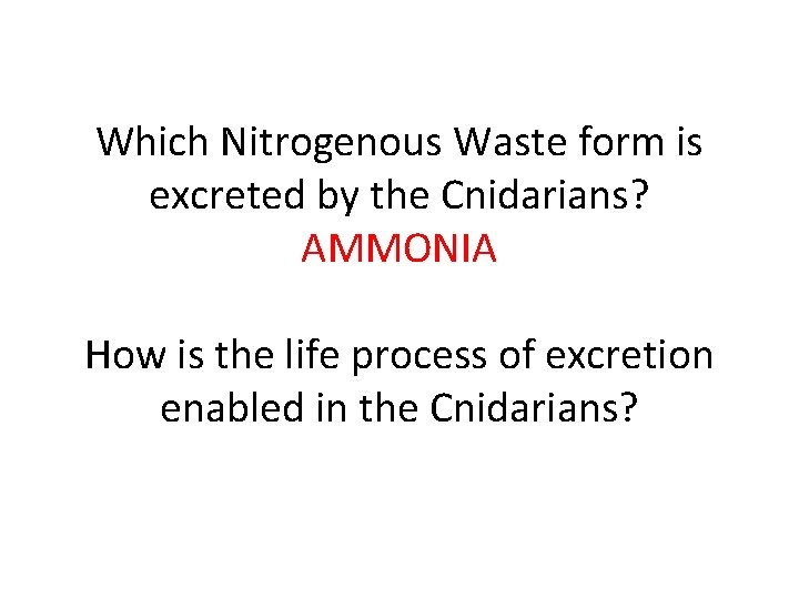 Which Nitrogenous Waste form is excreted by the Cnidarians? AMMONIA How is the life