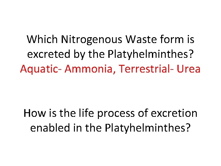 Which Nitrogenous Waste form is excreted by the Platyhelminthes? Aquatic- Ammonia, Terrestrial- Urea How