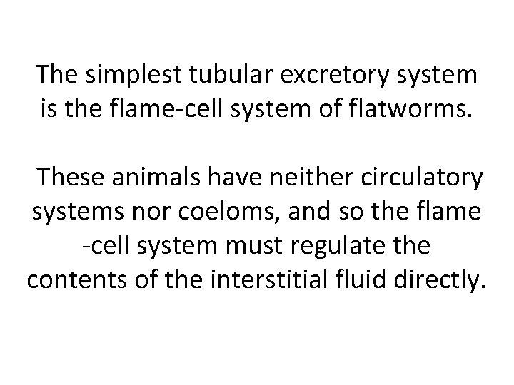 The simplest tubular excretory system is the flame-cell system of flatworms. These animals have