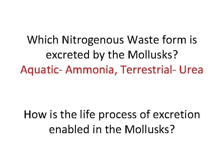 Which Nitrogenous Waste form is excreted by the Mollusks? Aquatic- Ammonia, Terrestrial- Urea How