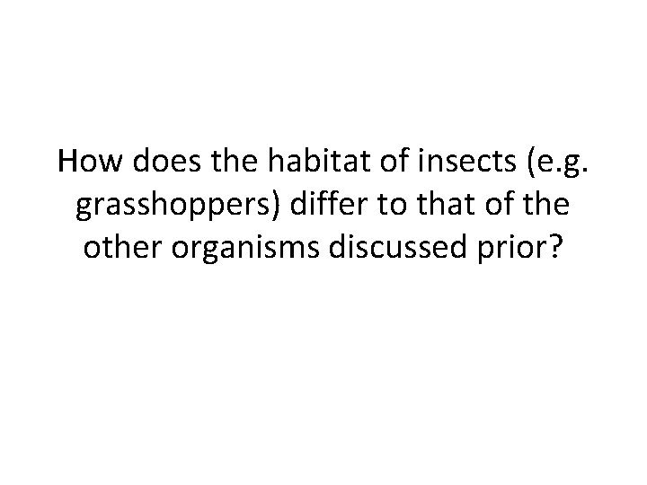 How does the habitat of insects (e. g. grasshoppers) differ to that of the