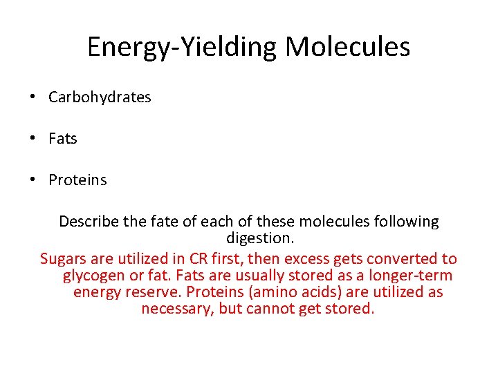 Energy-Yielding Molecules • Carbohydrates • Fats • Proteins Describe the fate of each of