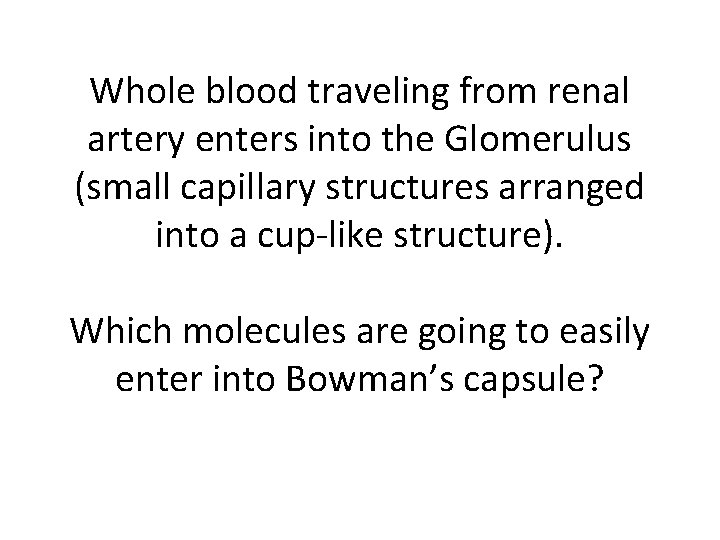 Whole blood traveling from renal artery enters into the Glomerulus (small capillary structures arranged