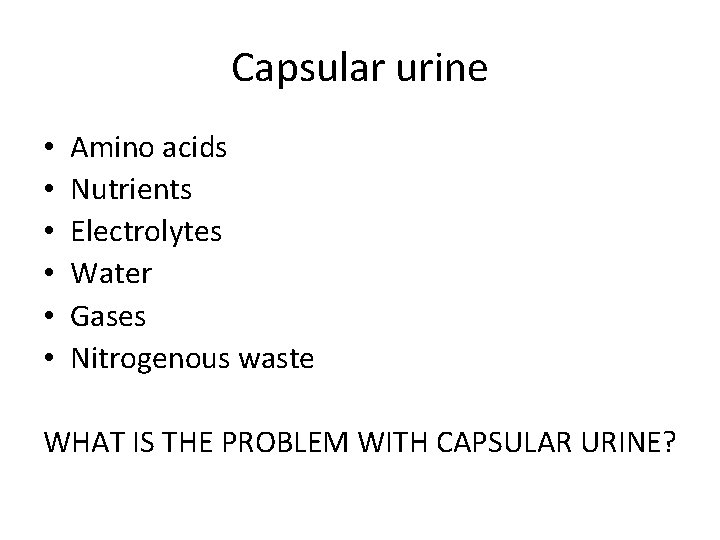 Capsular urine • • • Amino acids Nutrients Electrolytes Water Gases Nitrogenous waste WHAT