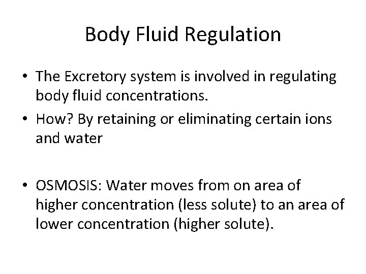 Body Fluid Regulation • The Excretory system is involved in regulating body fluid concentrations.