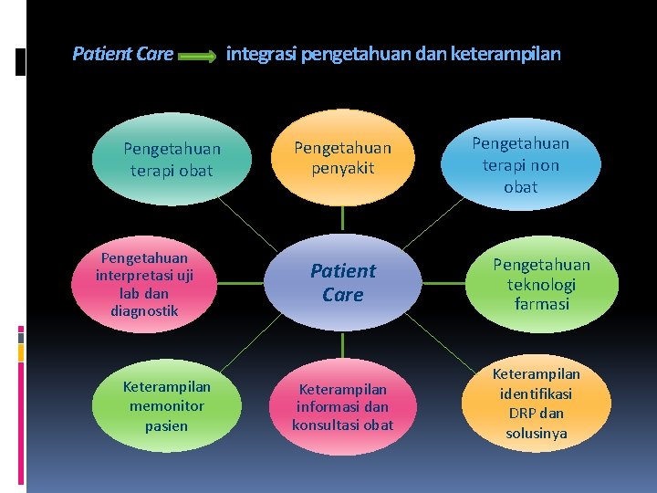 Patient Care Pengetahuan terapi obat Pengetahuan interpretasi uji lab dan diagnostik Keterampilan memonitor pasien