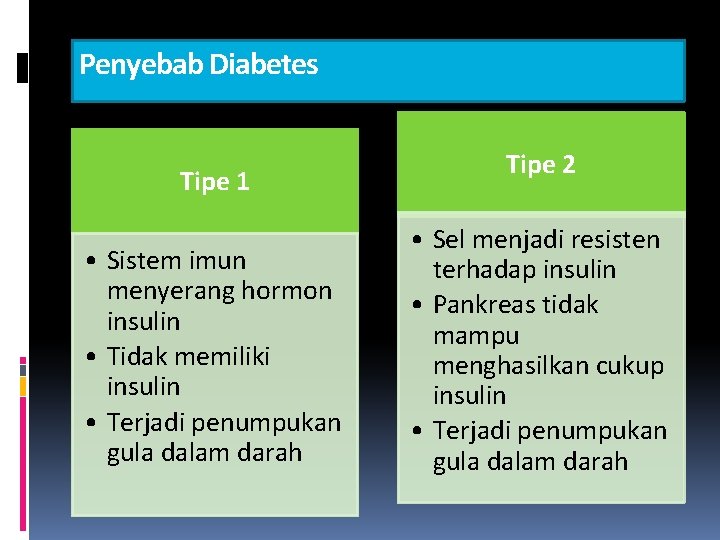 Penyebab Diabetes Tipe 1 • Sistem imun menyerang hormon insulin • Tidak memiliki insulin