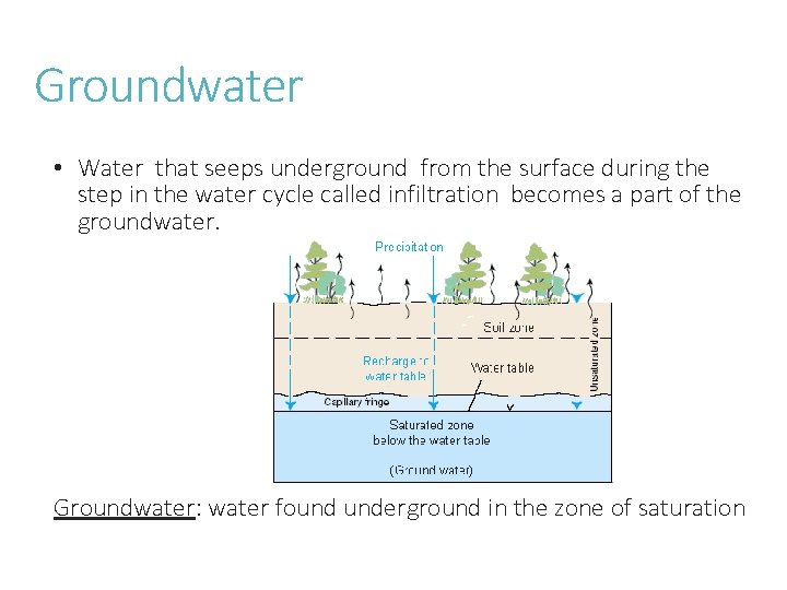 Groundwater • Water that seeps underground from the surface during the step in the