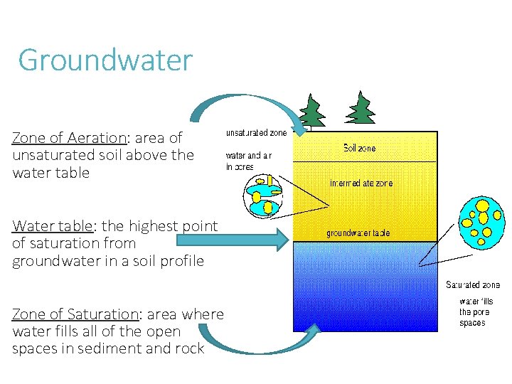 Groundwater Zone of Aeration: area of unsaturated soil above the water table Water table: