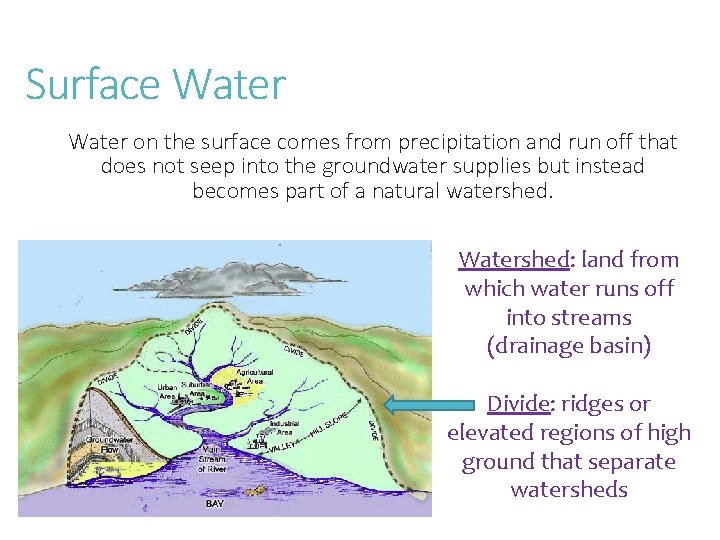 Surface Water on the surface comes from precipitation and run off that does not