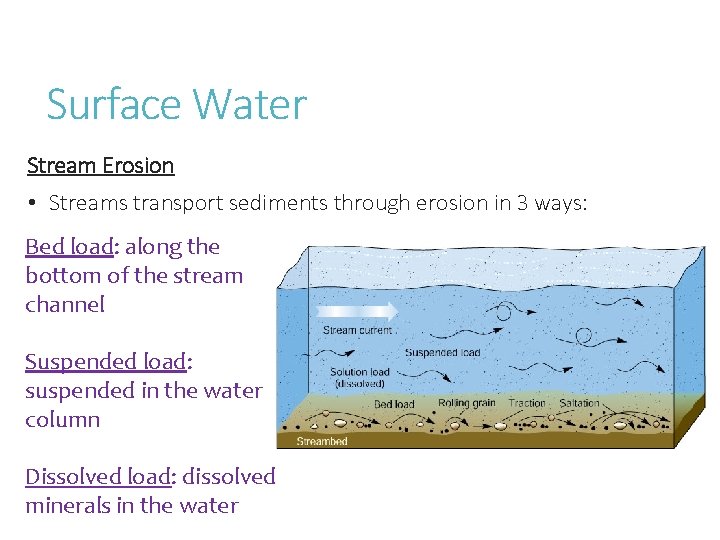 Surface Water Stream Erosion • Streams transport sediments through erosion in 3 ways: Bed