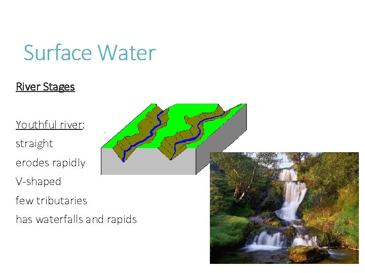 Surface Water River Stages Youthful river: straight erodes rapidly V-shaped few tributaries has waterfalls