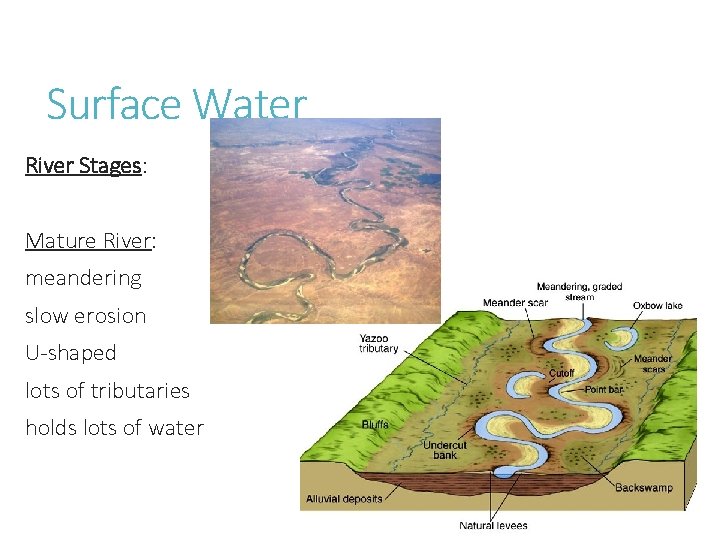 Surface Water River Stages: Mature River: meandering slow erosion U-shaped lots of tributaries holds