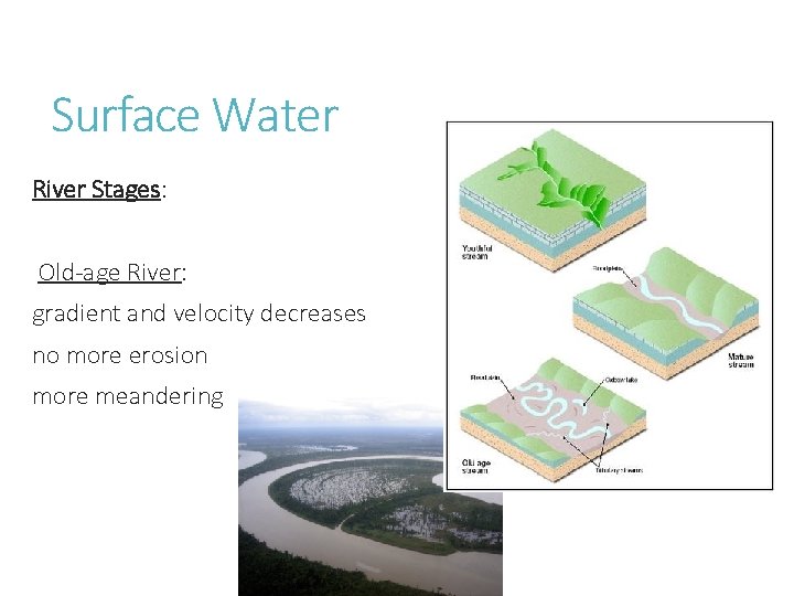 Surface Water River Stages: Old-age River: gradient and velocity decreases no more erosion more