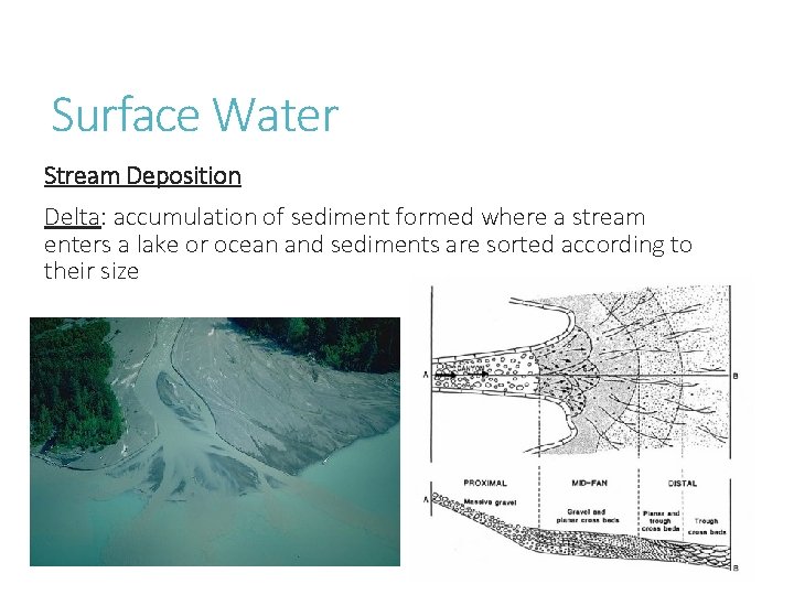 Surface Water Stream Deposition Delta: accumulation of sediment formed where a stream enters a