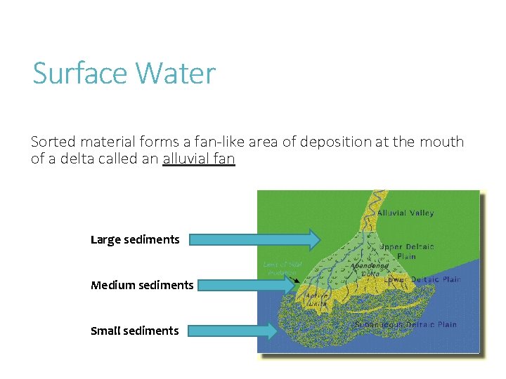 Surface Water Sorted material forms a fan-like area of deposition at the mouth of