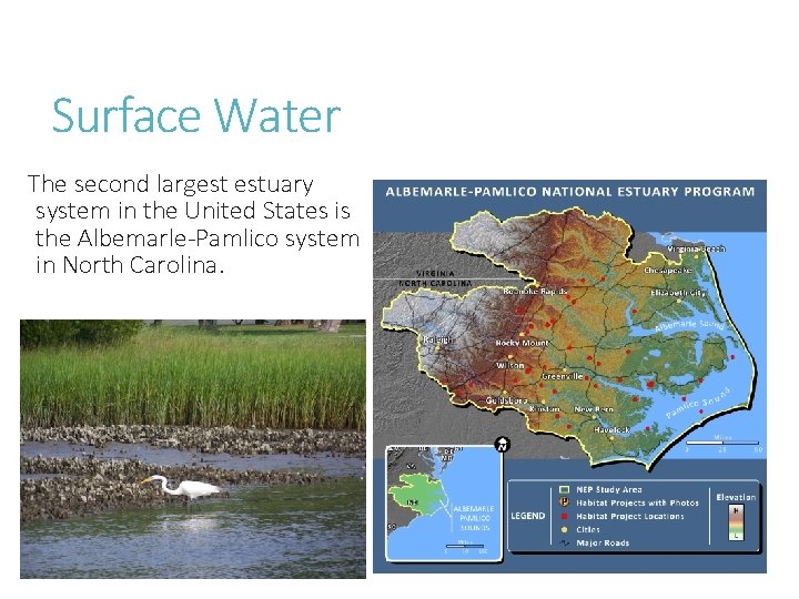 Surface Water The second largest estuary system in the United States is the Albemarle-Pamlico