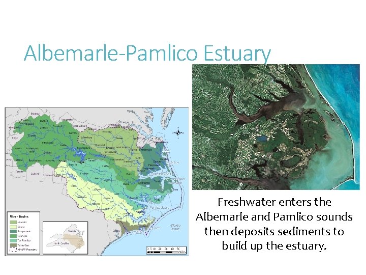 Albemarle-Pamlico Estuary Freshwater enters the Albemarle and Pamlico sounds then deposits sediments to build