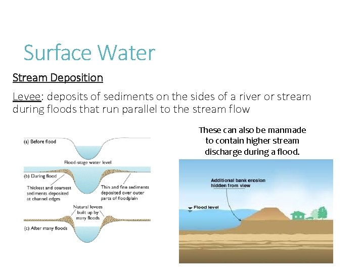 Surface Water Stream Deposition Levee: deposits of sediments on the sides of a river