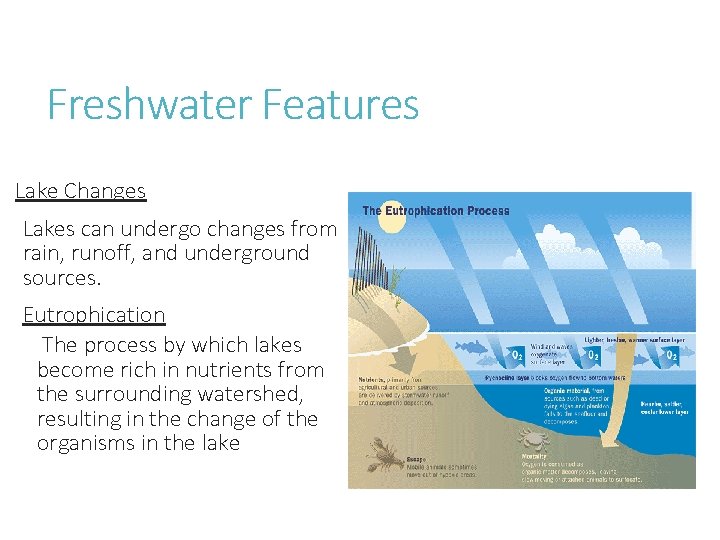 Freshwater Features Lake Changes Lakes can undergo changes from rain, runoff, and underground sources.