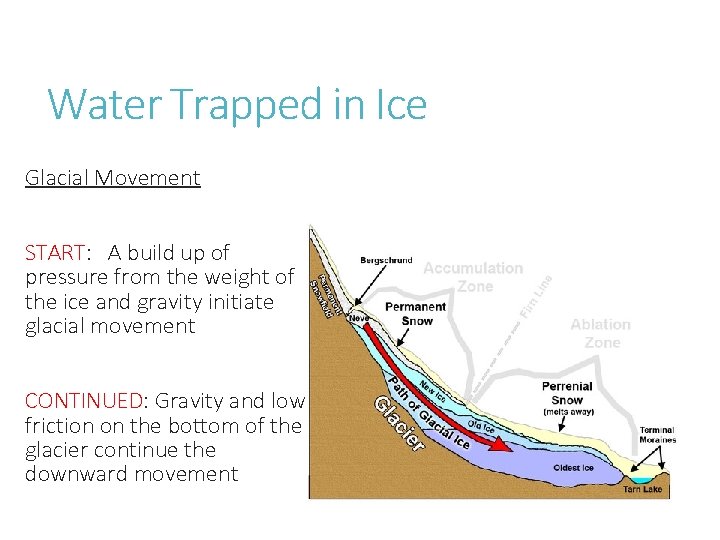 Water Trapped in Ice Glacial Movement START: A build up of pressure from the
