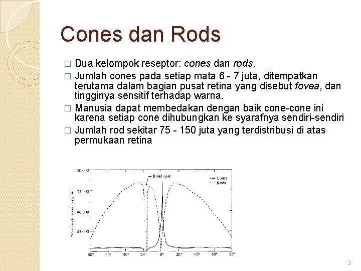 Cones dan Rods Dua kelompok reseptor: cones dan rods. � Jumlah cones pada setiap