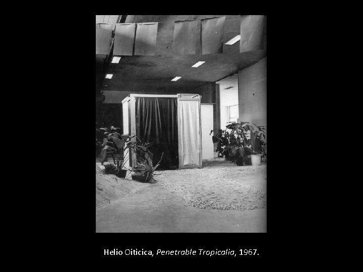 Helio Oiticica, Penetrable Tropicalia, 1967. 