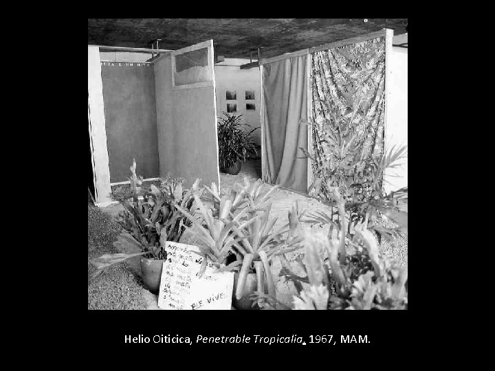 Helio Oiticica, Penetrable Tropicalia, 1967, MAM. 