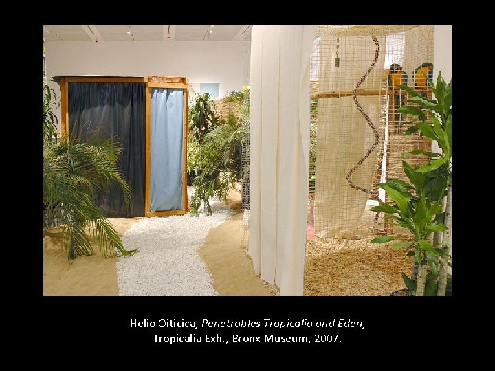 Helio Oiticica, Penetrables Tropicalia and Eden, Tropicalia Exh. , Bronx Museum, 2007. 