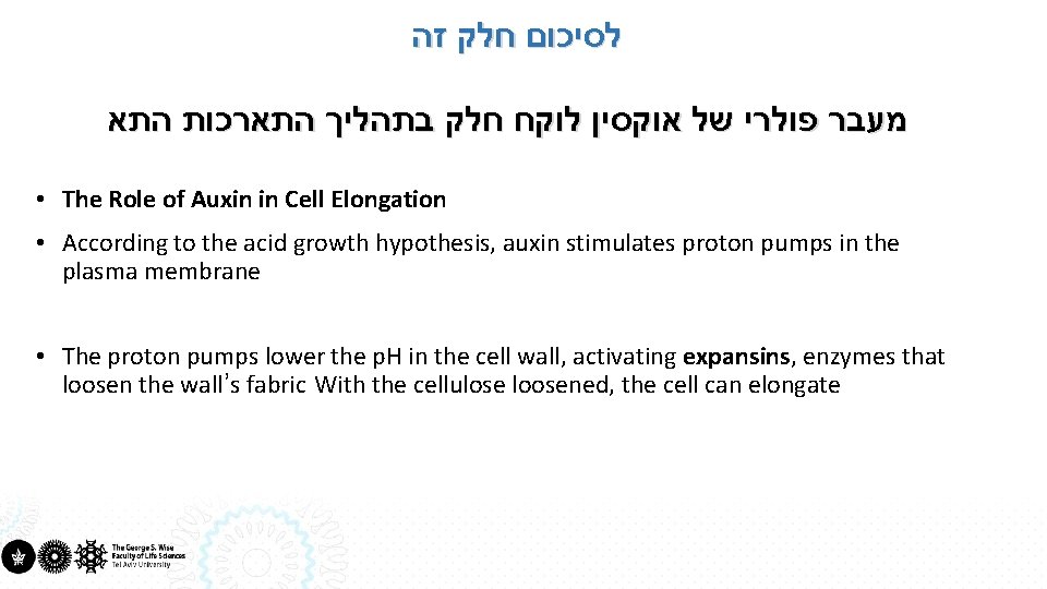  לסיכום חלק זה מעבר פולרי של אוקסין לוקח חלק בתהליך התארכות התא •