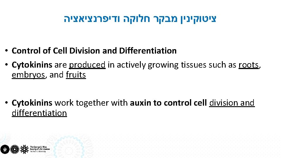  ציטוקינין מבקר חלוקה ודיפרנציאציה • Control of Cell Division and Differentiation • Cytokinins