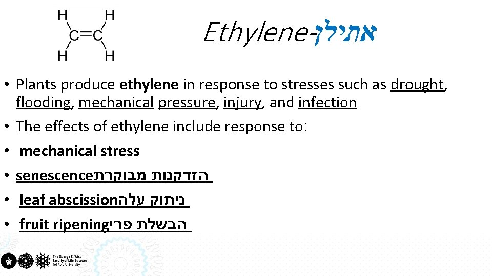 Ethylene- אתילן • Plants produce ethylene in response to stresses such as drought, flooding,