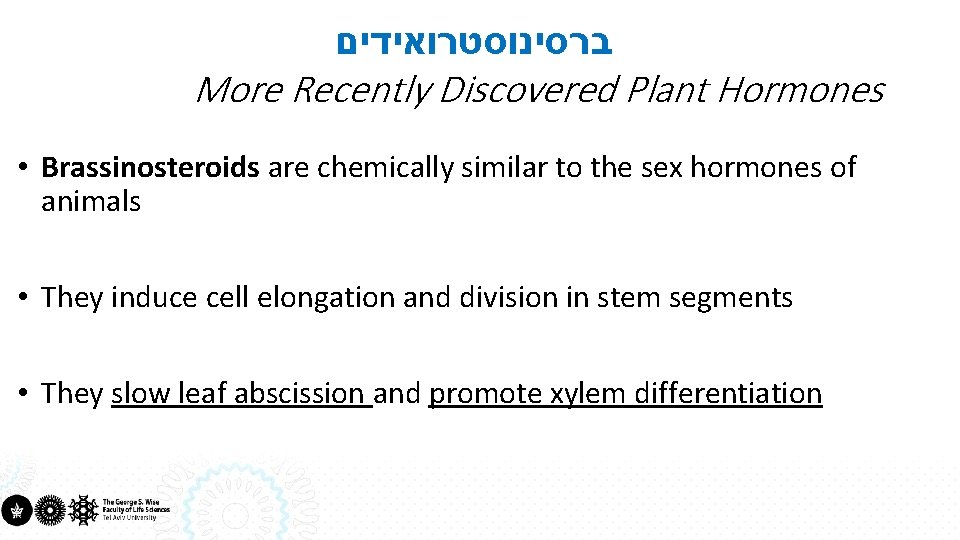  ברסינוסטרואידים More Recently Discovered Plant Hormones • Brassinosteroids are chemically similar to the
