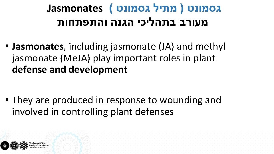 Jasmonates ( גסמונט ) מתיל גסמונט מעורב בתהליכי הגנה והתפתחות • Jasmonates, including jasmonate