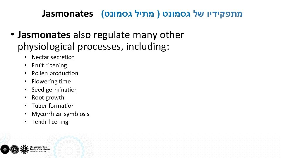 Jasmonates ( מתפקידיו של גסמונט ) מתיל גסמונט • Jasmonates also regulate many other