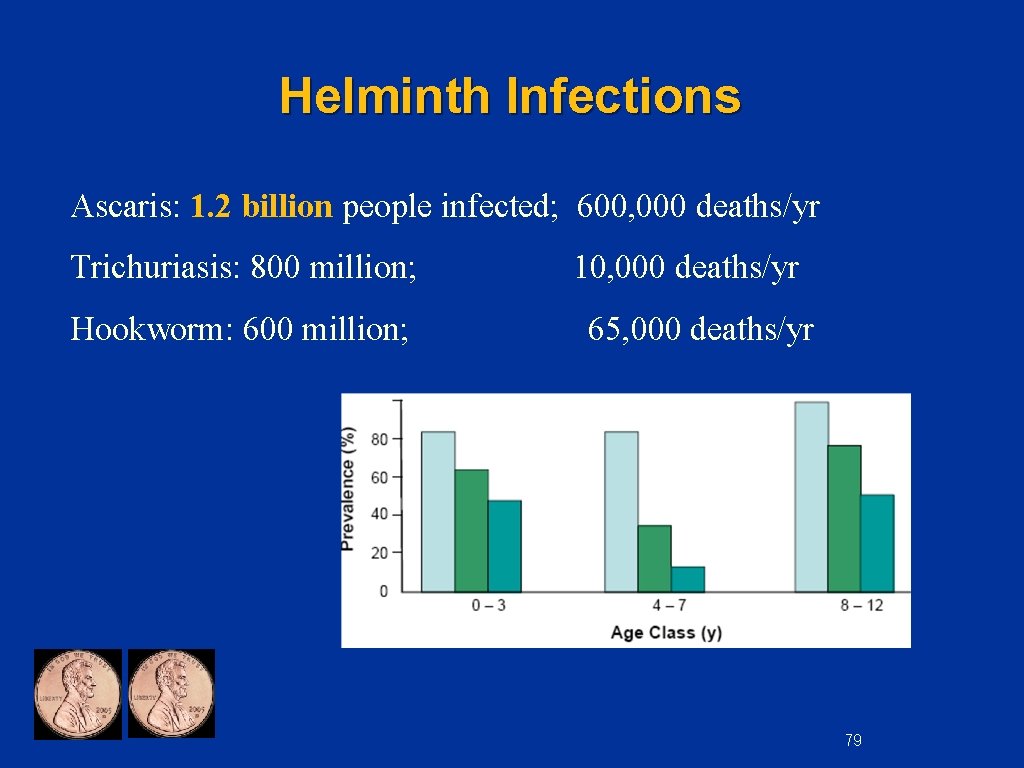 Helminth Infections Ascaris: 1. 2 billion people infected; 600, 000 deaths/yr Trichuriasis: 800 million;