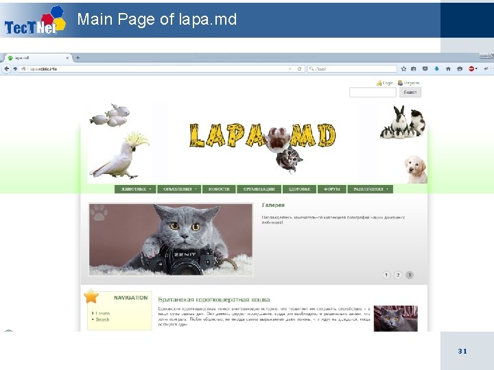 Main Page of lapa. md 31 