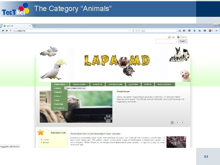 The Category “Animals” 32 