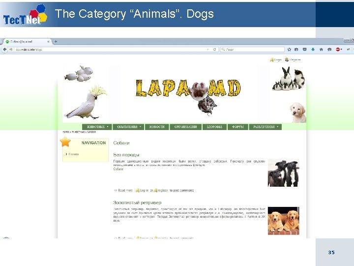 The Category “Animals”. Dogs 35 