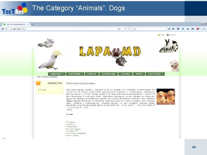 The Category “Animals”. Dogs 36 