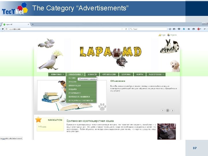 The Category “Advertisements” 37 