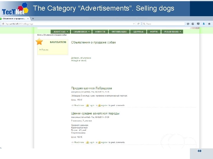 The Category “Advertisements”. Selling dogs 40 